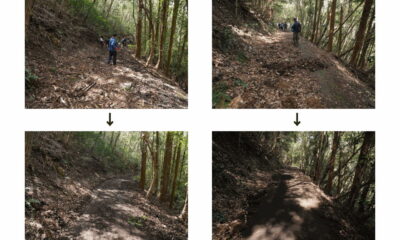 【瀬戸内アルプス登山道整備2026】笛吹峠~源明峠の大部分が復旧しました!