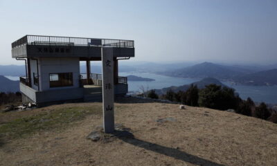 【瀬戸内アルプス】文珠堂登山口に広がる黄金色の絨毯【紅葉シーズン】