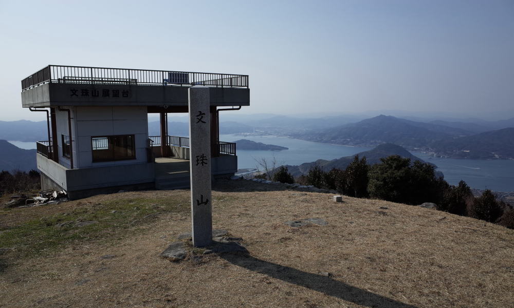 【瀬戸内アルプス】文珠堂登山口に広がる黄金色の絨毯【紅葉シーズン】