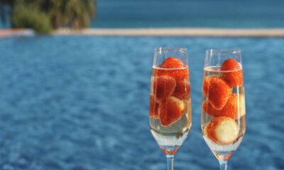 2/19（木）放送のyab山口朝日放送「YOU!どきっ」はマリッサベリーファームより生中継！