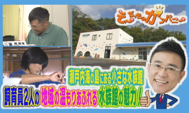 TSSテレビ新広島「そ～だったのかンパニー」でなぎさ水族館が放送されました！