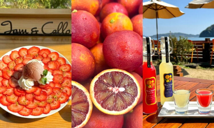 カフェもブティックも春色模様のジャムズガーデン