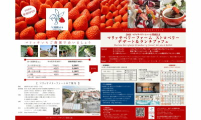 片添ヶ浜のいちご農園「マリッサ・ベリーファーム」が1/18（日）より開園！