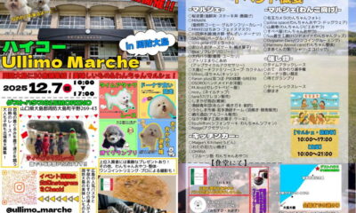 師走の周防大島はイベントが目白押し!