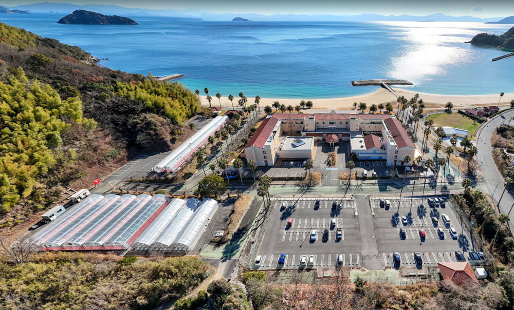 いちご農園「マリッサベリーファーム」