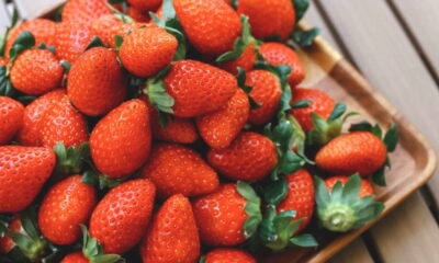 【マリッサベリーファーム】ご好評につきストロベリー デザート＆ランチブッフェを延長します