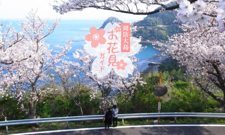 周防大島お花見ガイド