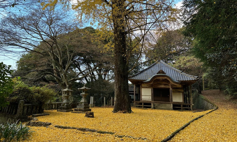 瀬戸内アルプスの縦走シーズン到来!