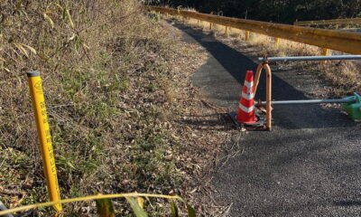 「瀬戸内アルプス登山道整備ハイキング2026」のボランティアを募集します!