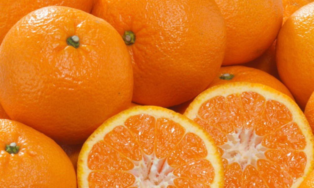 山口県のオリジナルかんきつ「ゆめほっぺ」の出荷が周防大島町で始まりました！