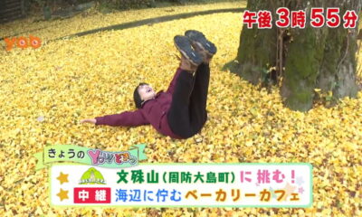 12/11放送の「YOU!どきっ」で宮原睦実アナが文珠山ハイキング！
