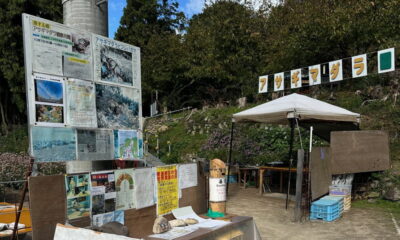 アサギマダラの飛来情況　周防大島「磯兼屋敷跡アサギマダラ園」