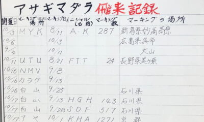 アサギマダラの飛来情況　周防大島「磯兼屋敷跡アサギマダラ園」
