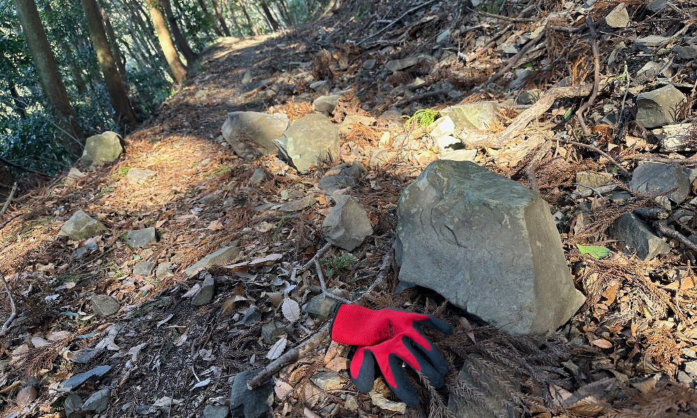 「瀬戸内アルプス登山道整備ハイキング2026」のボランティアを募集します!