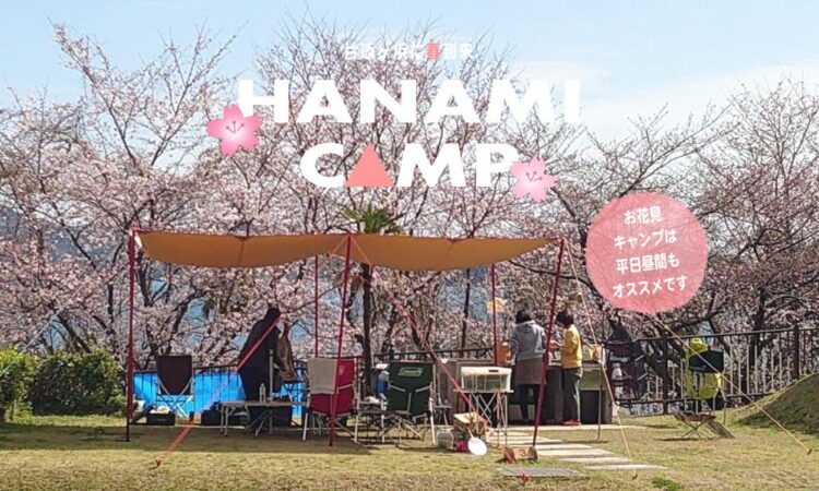 片添ヶ浜でお花見キャンプ！今年は夜桜ライトアップにもチャレンジ！