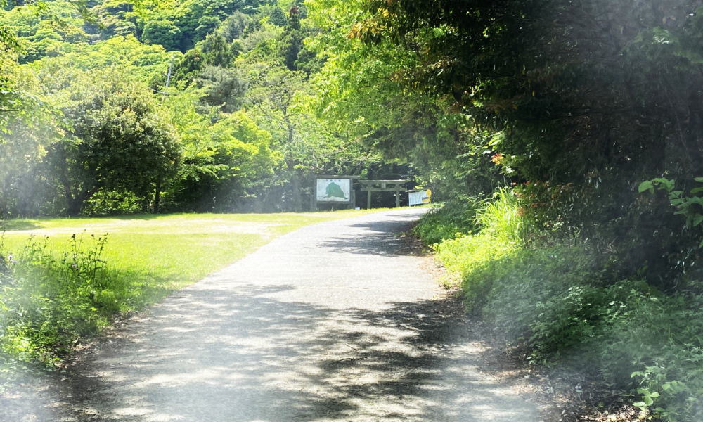 岩屋権現（しあわせ祈岩）