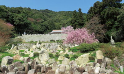 帯石観音（しあわせ祈岩）