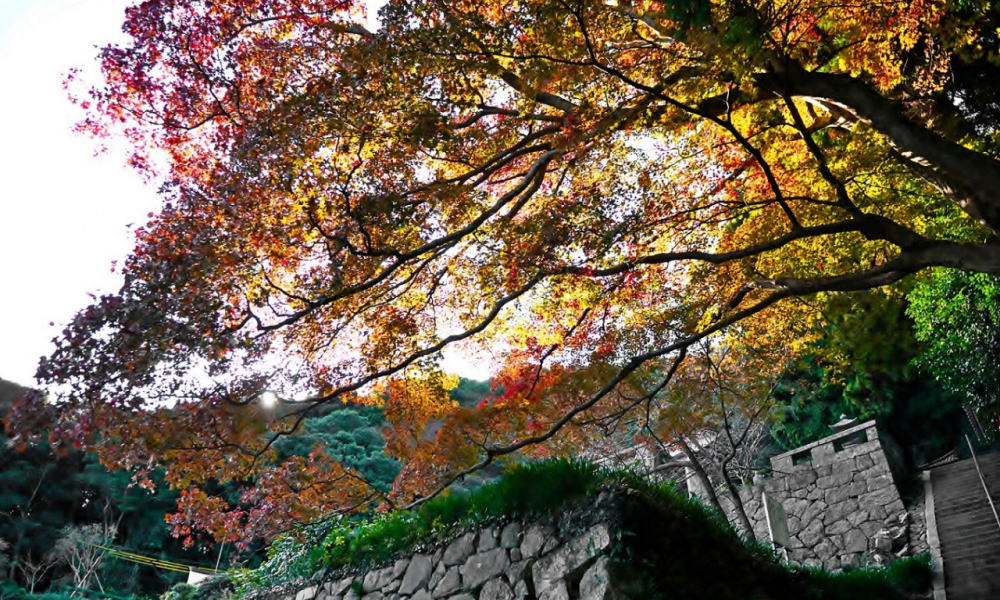 帯石観音（しあわせ祈岩）