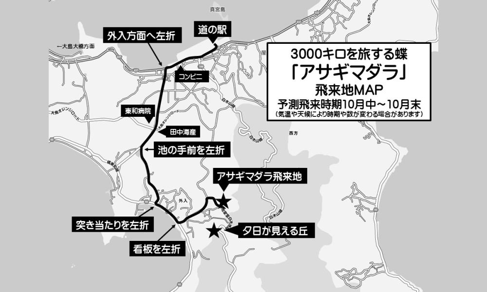 アサギマダラの飛来情況 周防大島「磯兼屋敷跡アサギマダラ園」