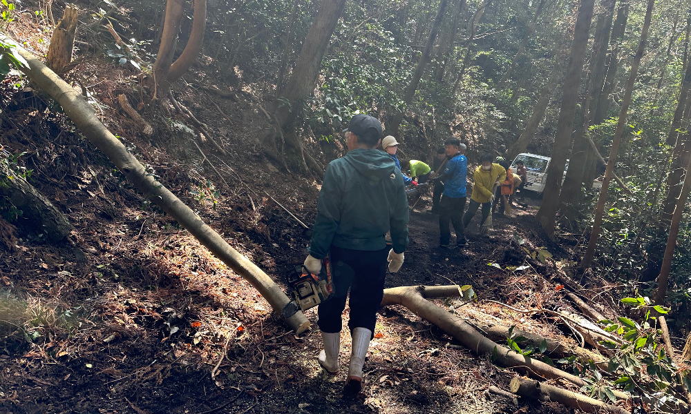 【瀬戸内アルプス登山道整備2026】笛吹峠~源明峠の大部分が復旧しました!