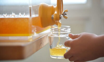 【はちとひとと】巣箱のオーナー様を募集します