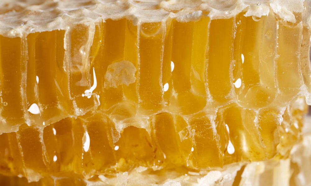 【はちとひとと】巣箱のオーナー様を募集します