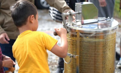 【はちとひとと】巣箱のオーナー様を募集します