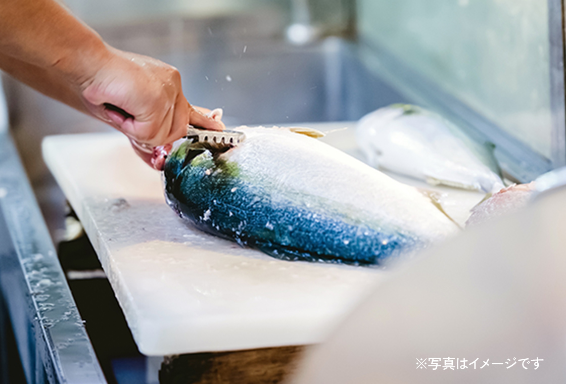 秋の行楽は周防大島でボートフォッシングにチャレンジ！