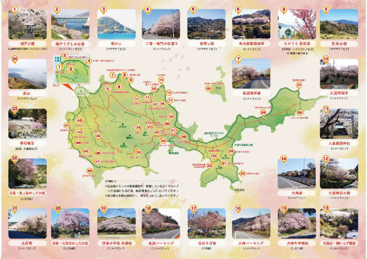 周防大島　桜めぐりマップ2026