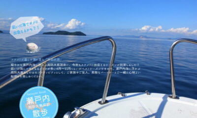 前島航路