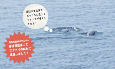 夏休みの思い出に　スナメリが暮らす海を渡る「前島航路」